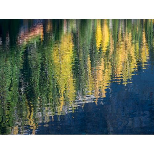 Wild, Jamie and Judy 아티스트의 Washington State-North Cascades-Blue Lake-Larch tree reflections작품입니다.